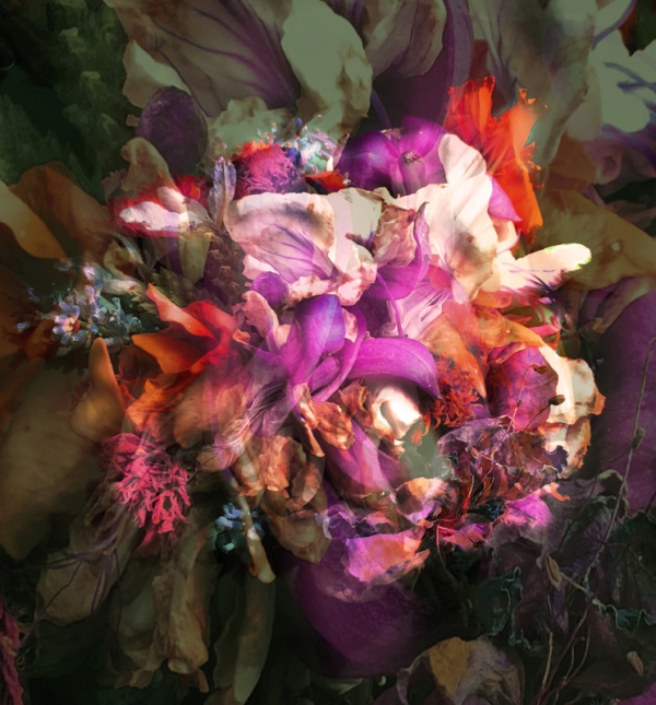 Renata Vogl flowers