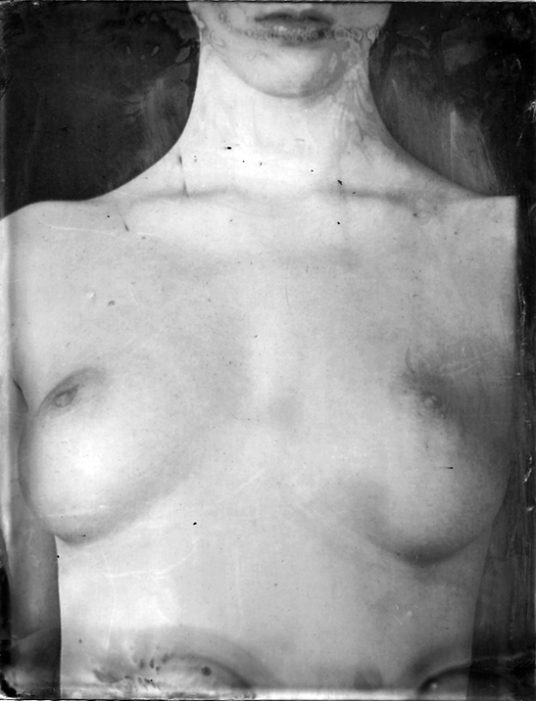 Renata Vogl scanned original ferrotype breast original size 13x10 cm