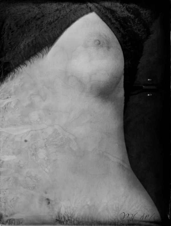 renata vogl scanned original ferrotype, body, original size 13x10 cm